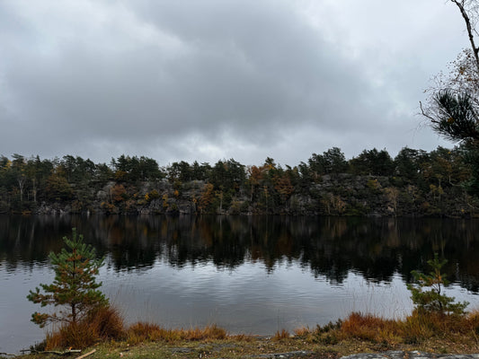 Från stad till spår - varför vi startade På Rull
